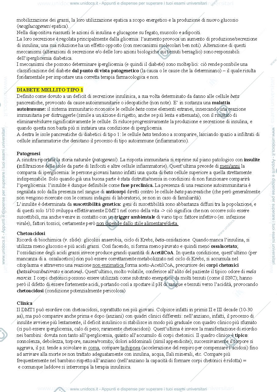 Anteprima pagina 2 — Appunti Endocrinologia