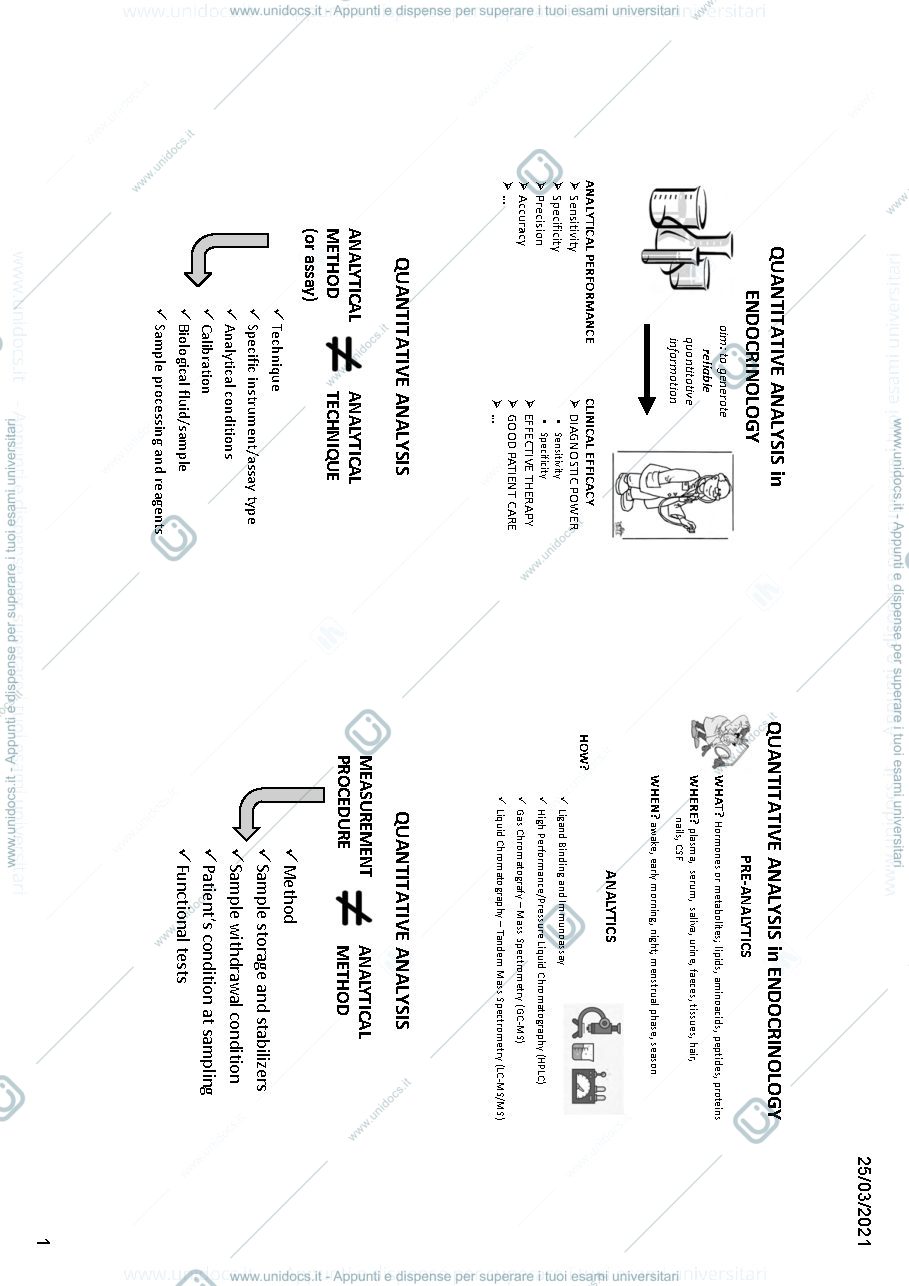 Anteprima pagina 1 — Slide Endocrinology