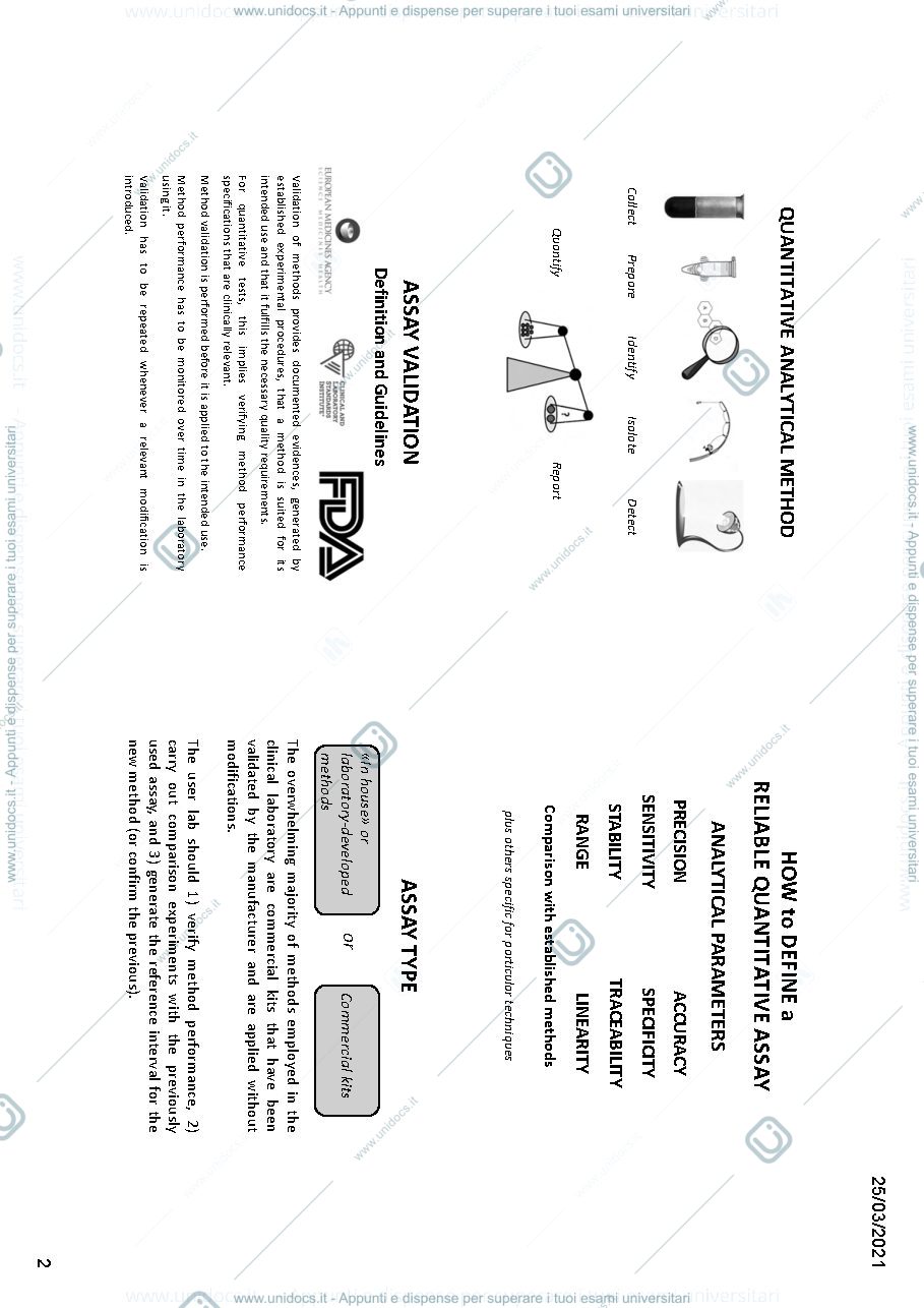 Anteprima pagina 2 — Slide Endocrinology