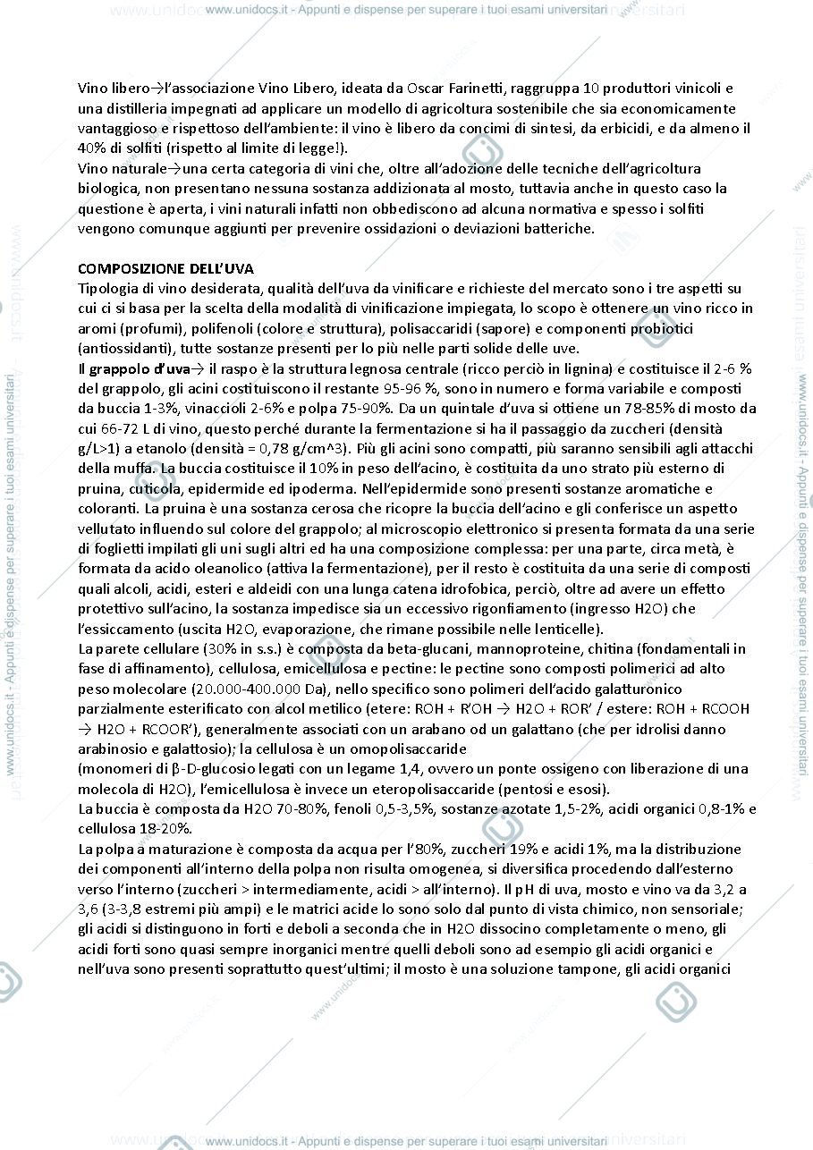 Anteprima pagina 2 — Riassunto programma enologia1