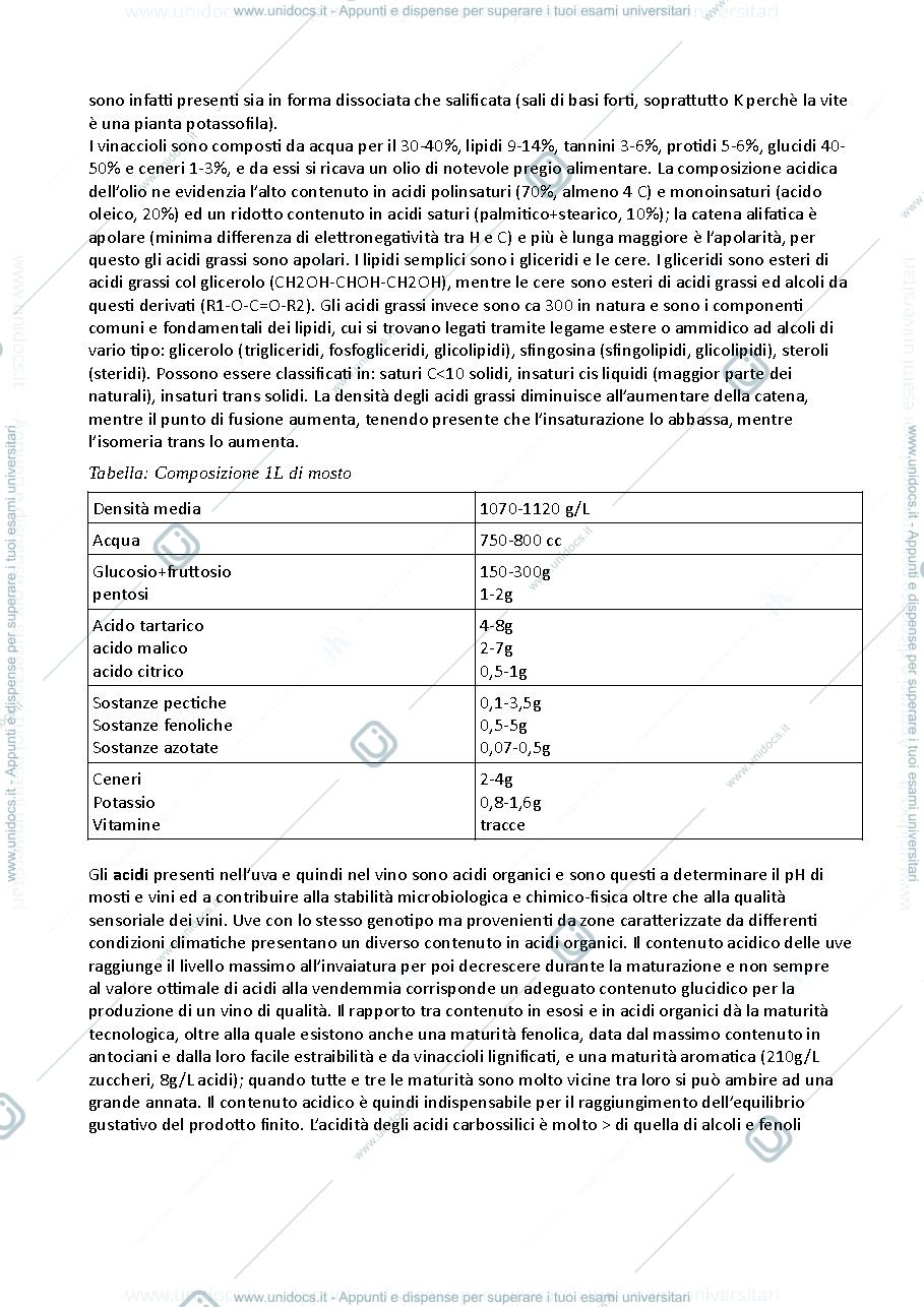Anteprima pagina 3 — Riassunto programma enologia1