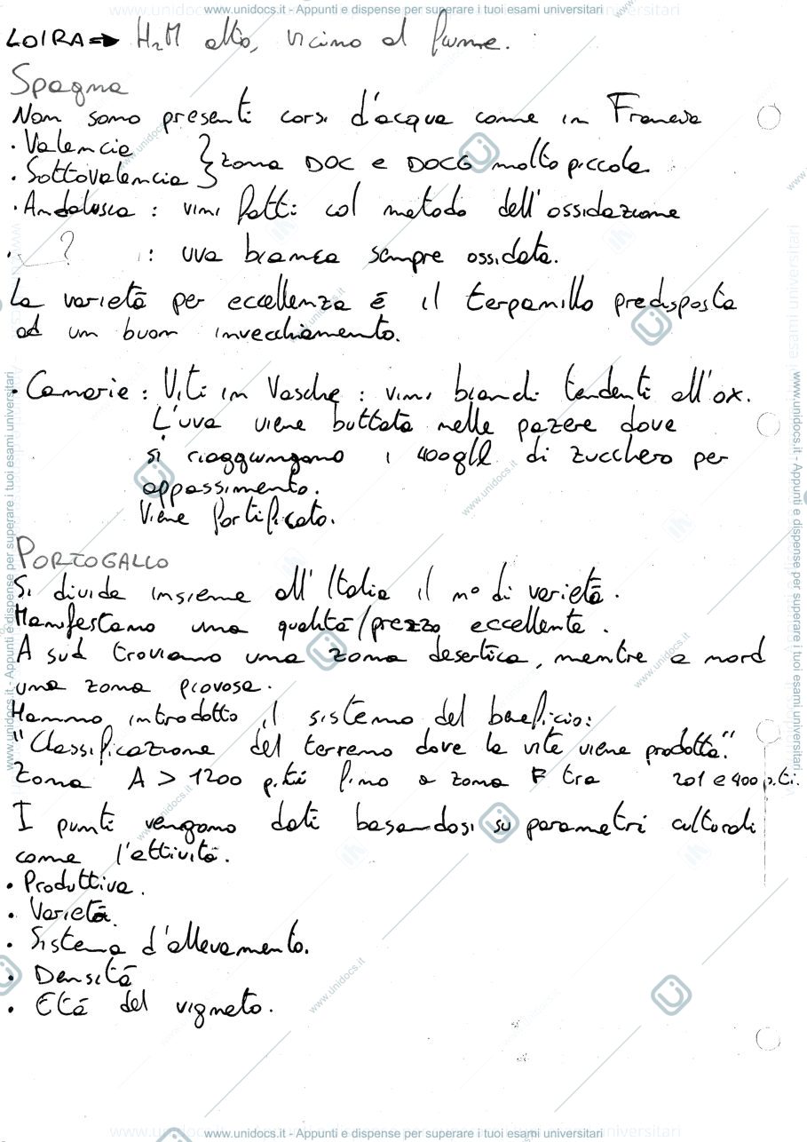 Anteprima pagina 2 — Appunti Mencarelli Eno2