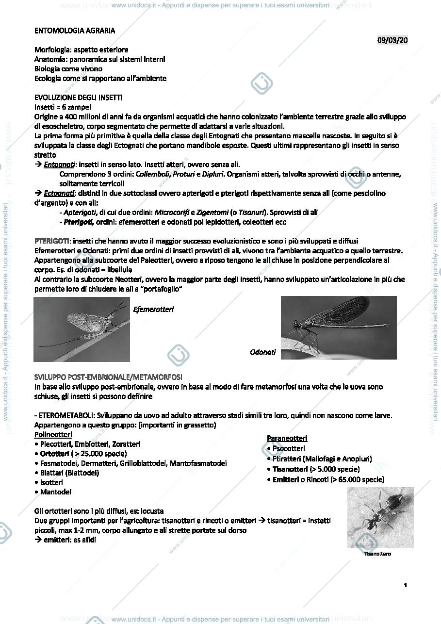 Anteprima pagina 1 — lez.1 ento