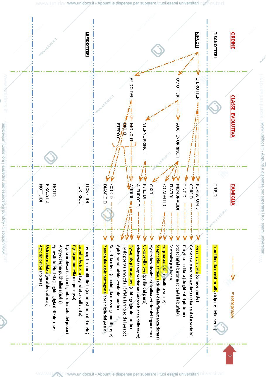 Anteprima pagina 3 — Appunti corso di Entomologia completi