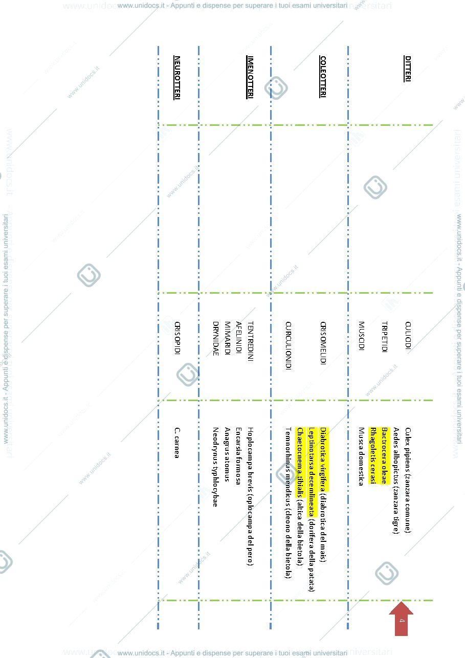 Anteprima pagina 4 — Appunti corso di Entomologia completi