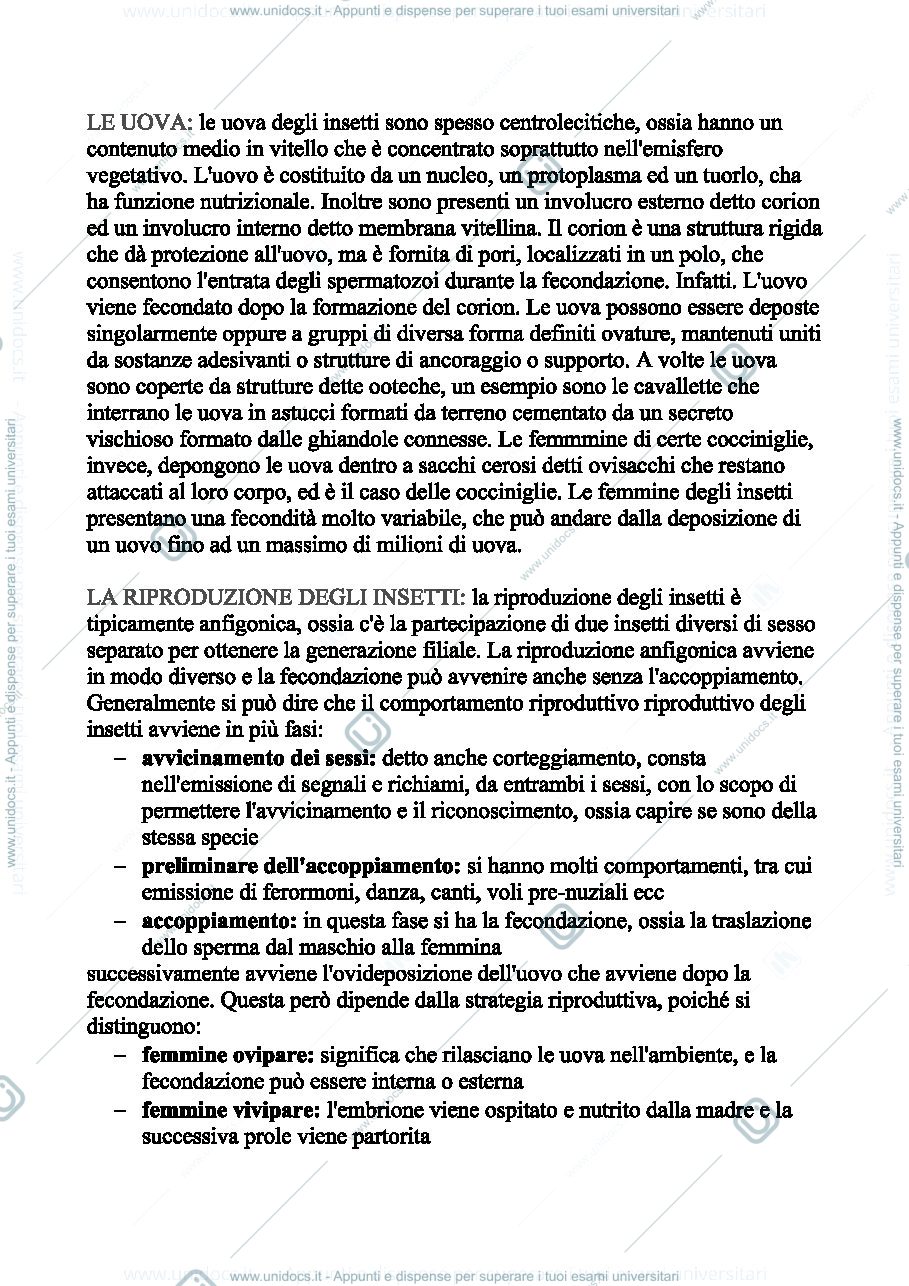 Anteprima pagina 1 — lez.3.1 ento