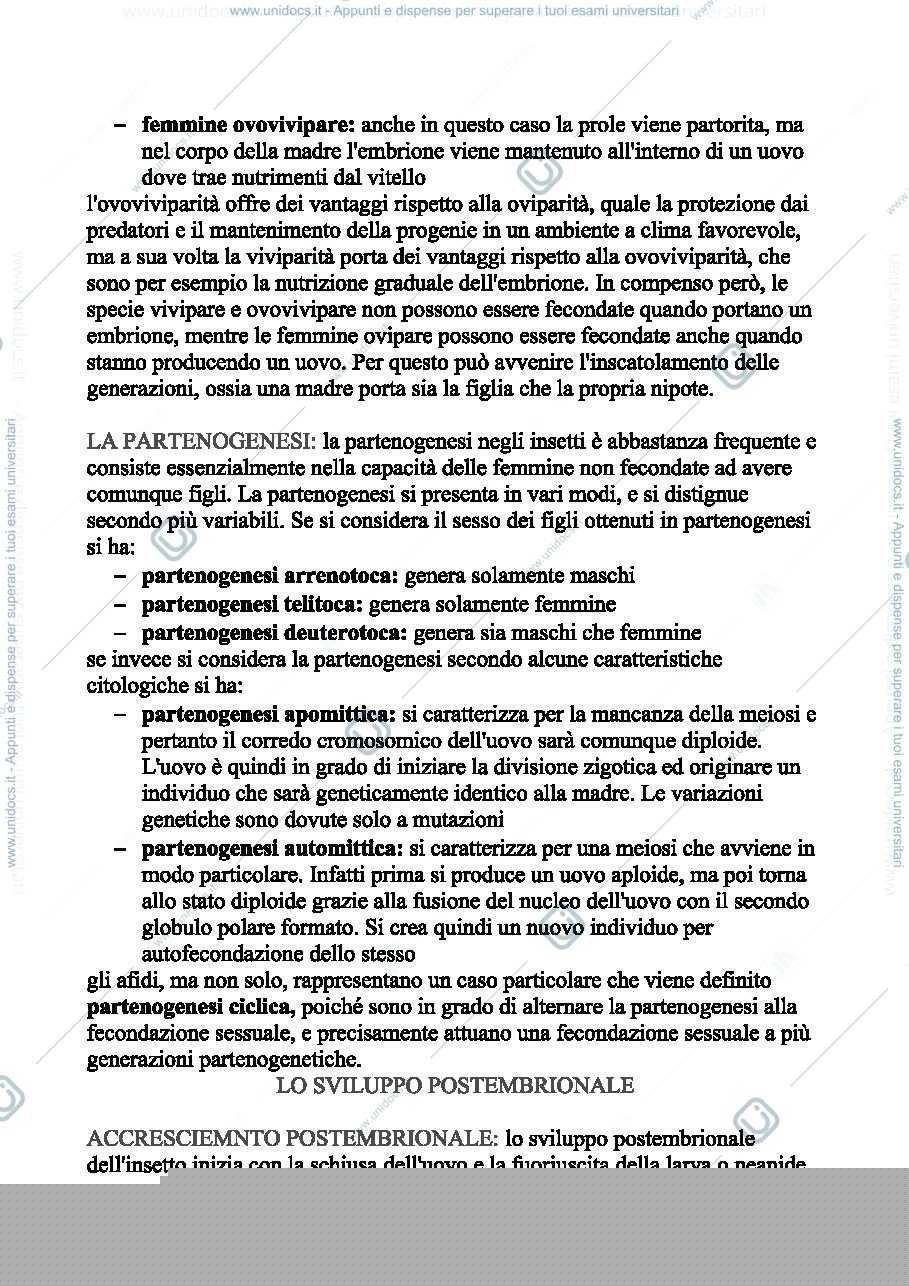 Anteprima pagina 2 — lez.3.1 ento