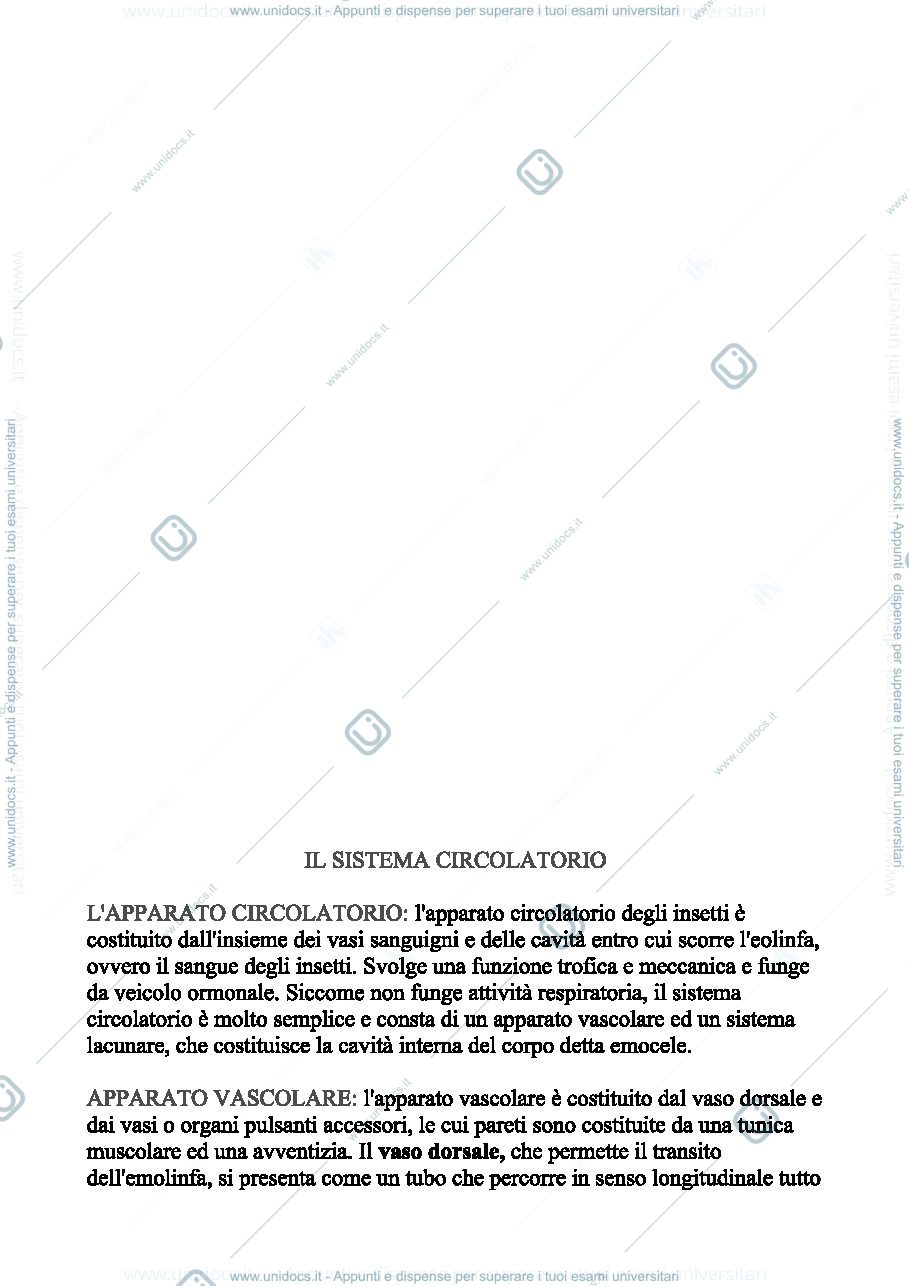 Anteprima pagina 1 — lez.3 ento