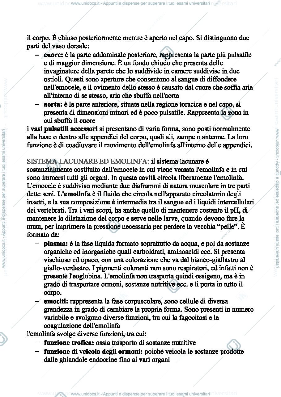 Anteprima pagina 2 — lez.3 ento