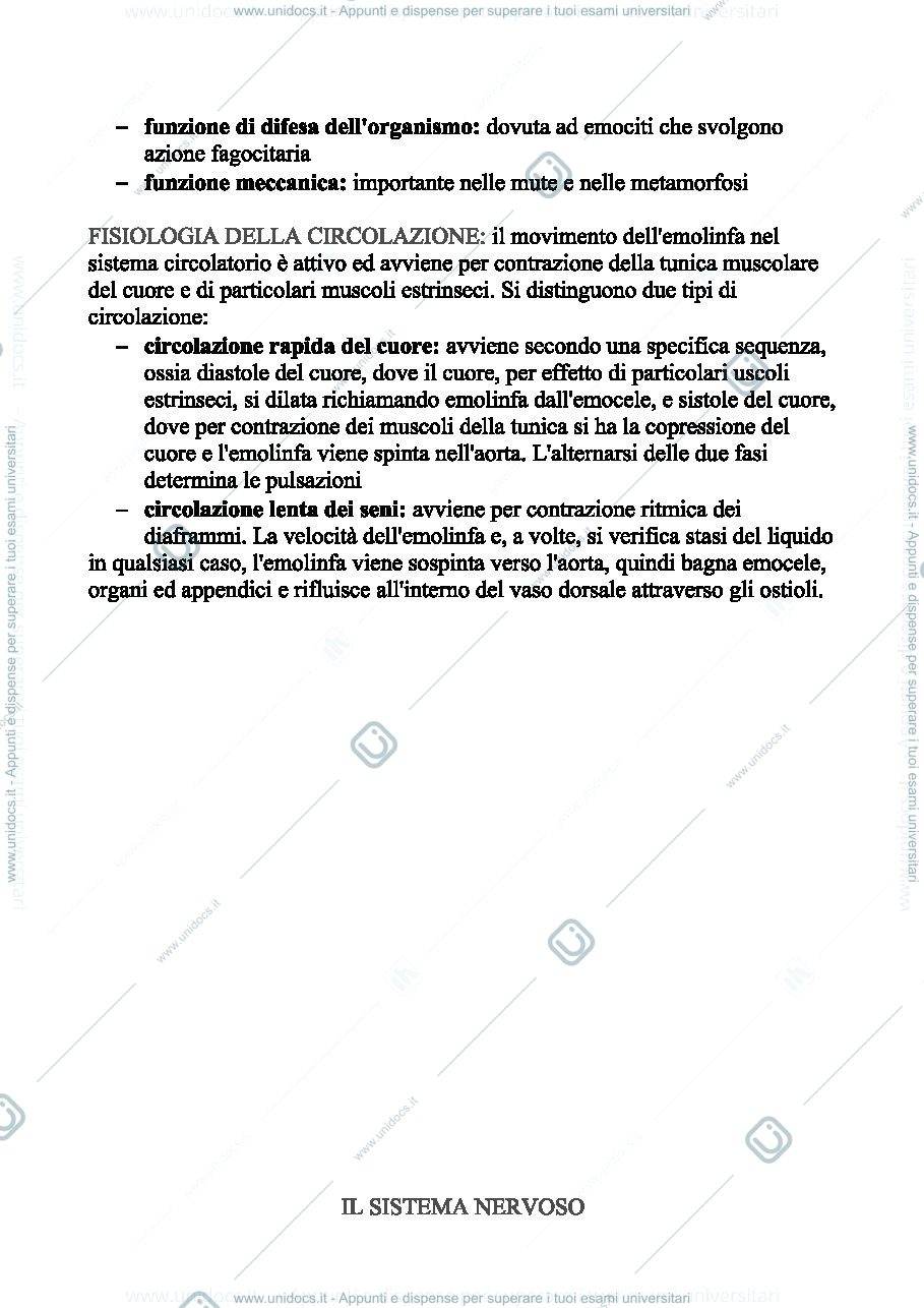 Anteprima pagina 3 — lez.3 ento