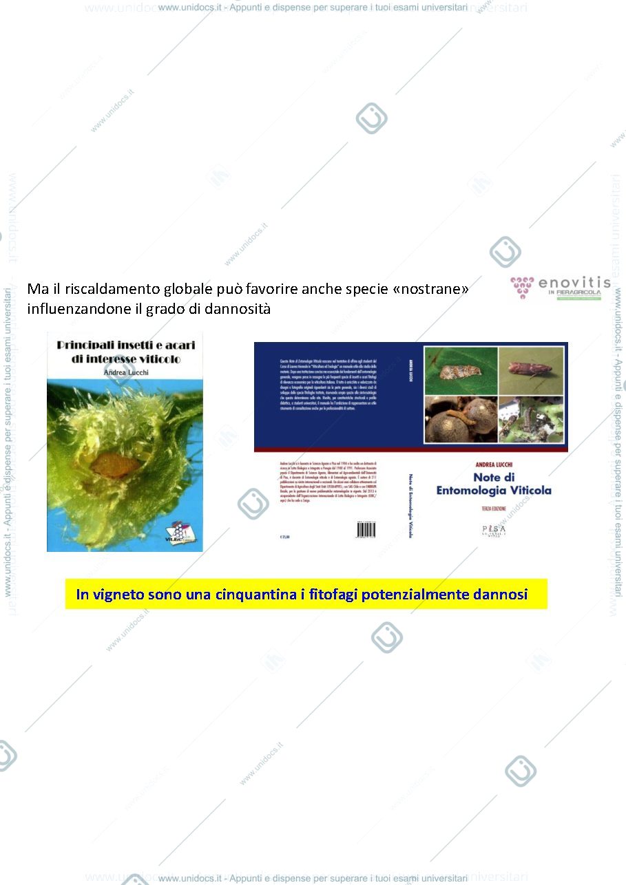Anteprima pagina 3 — Nuove strategie di difesa del vigneto