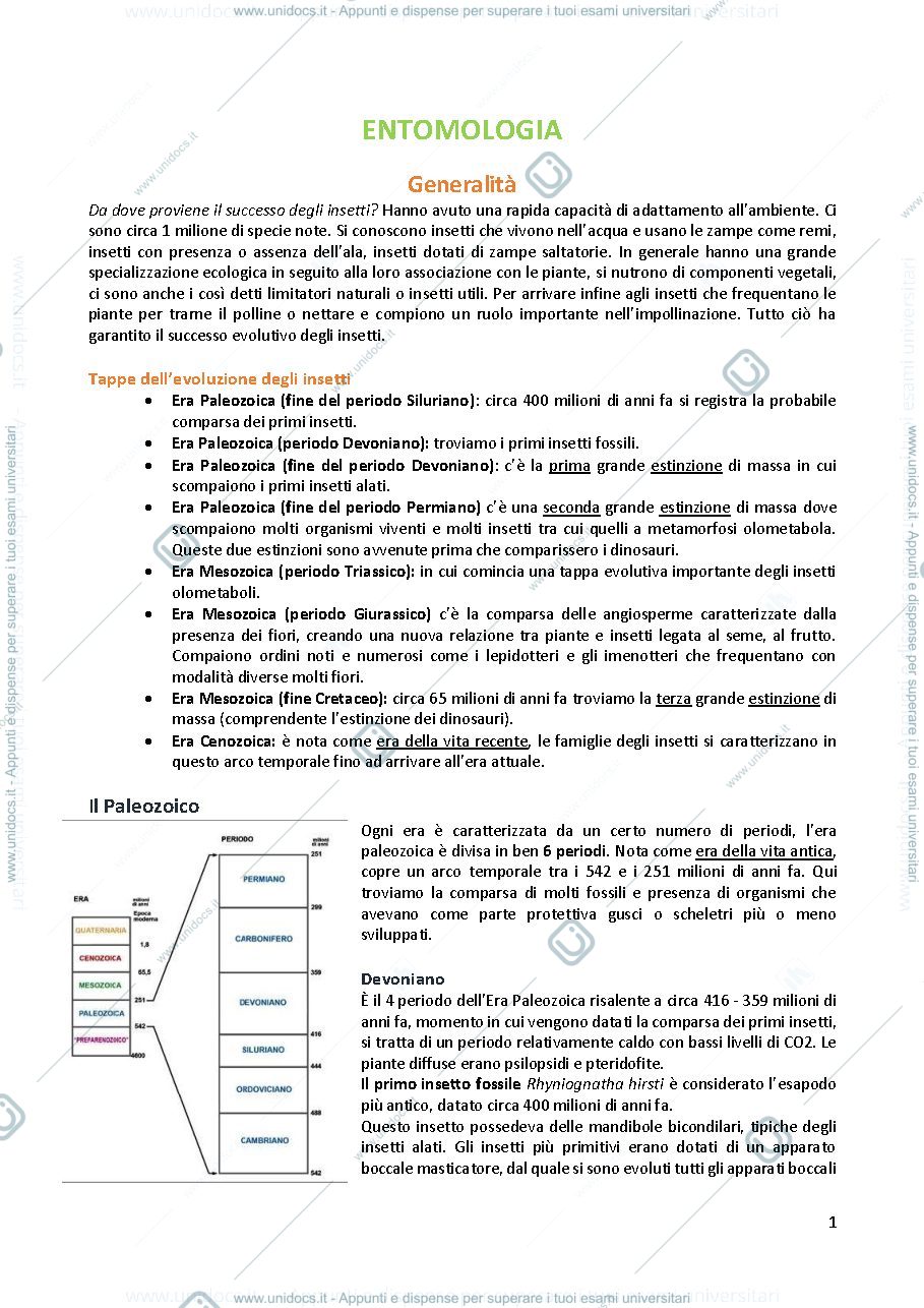 Anteprima pagina 1 — Entomologia generale e applicata