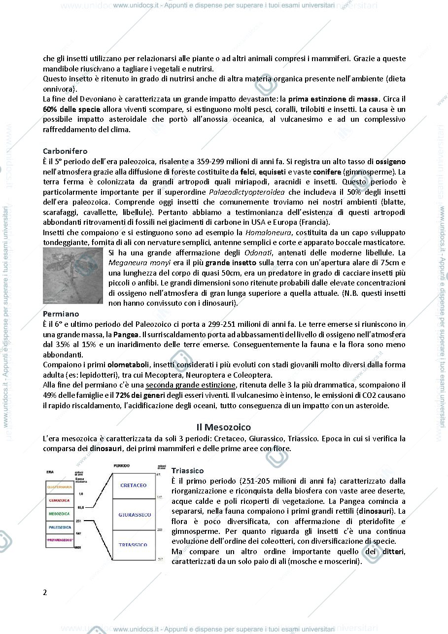Anteprima pagina 2 — Entomologia generale e applicata
