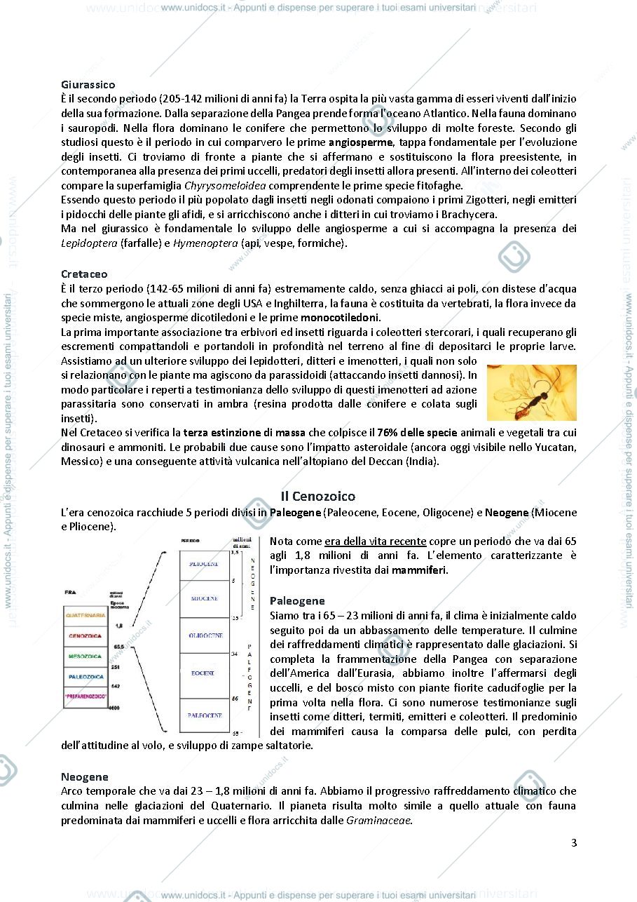 Anteprima pagina 3 — Entomologia generale e applicata