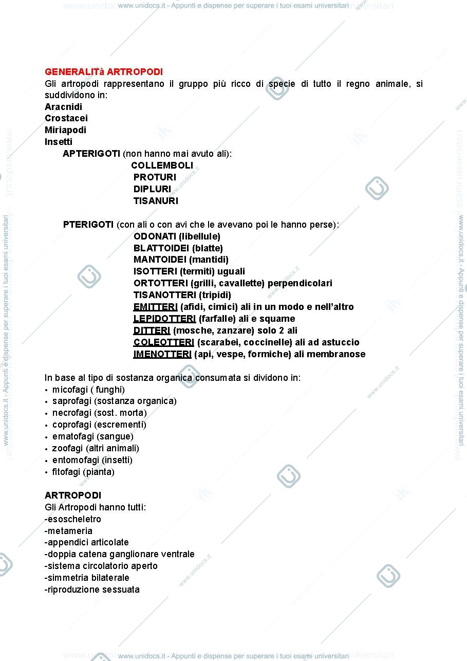 Anteprima pagina 1 — Entomologia generale