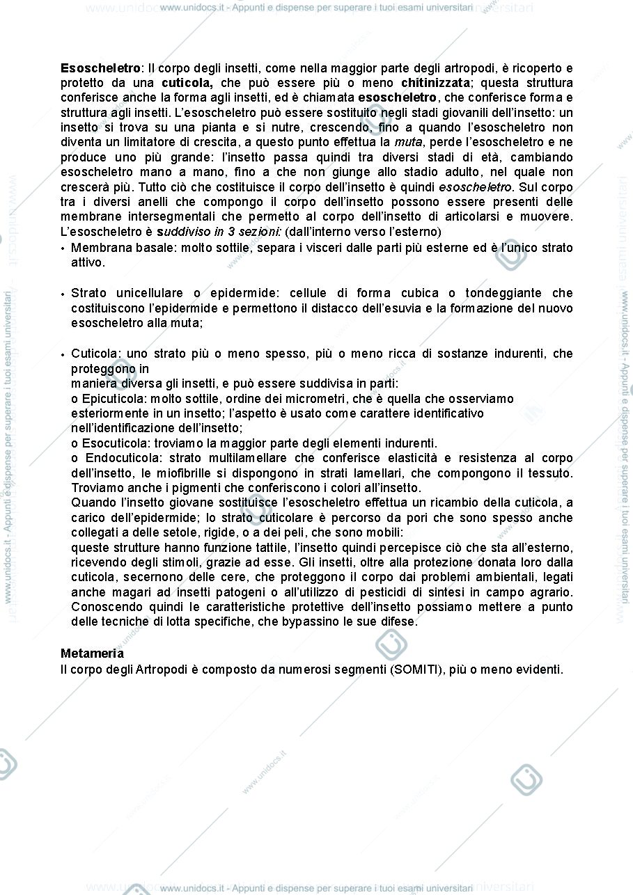 Anteprima pagina 2 — Entomologia generale