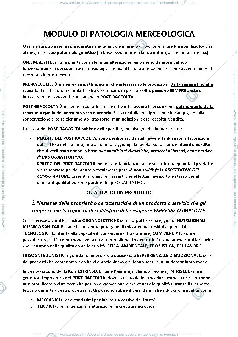 Anteprima pagina 1 — Modulo patologie