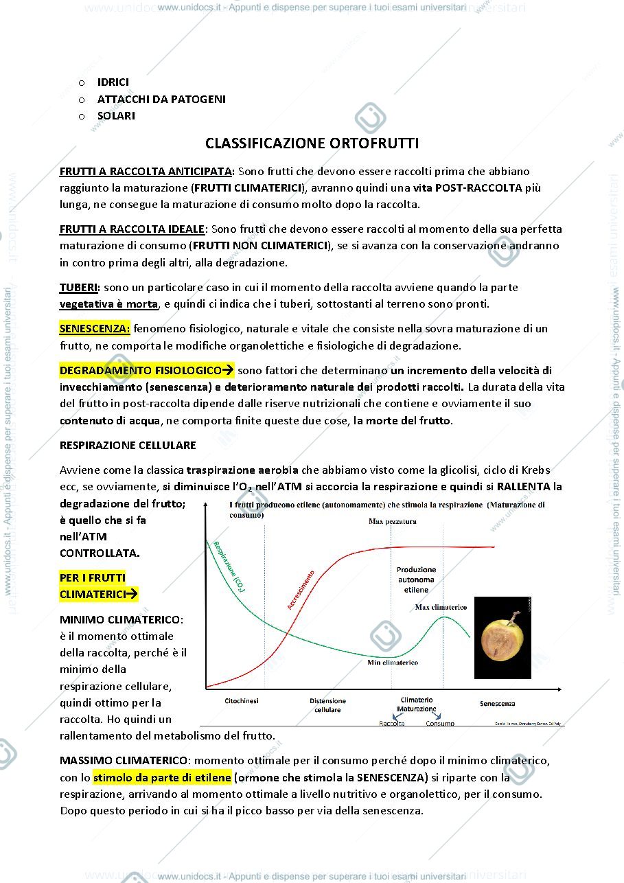 Anteprima pagina 2 — Modulo patologie
