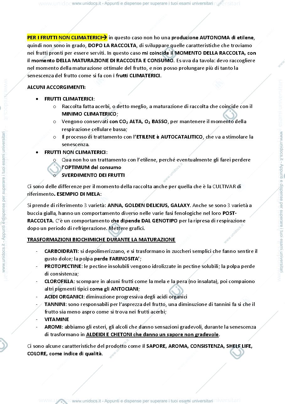Anteprima pagina 3 — Modulo patologie