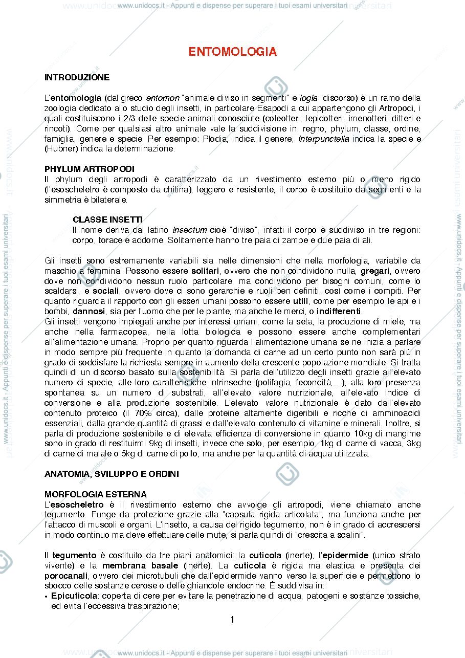 Anteprima pagina 1 — Riassunti di Entomologia per i Beni Culturali