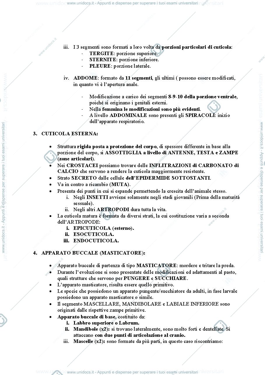 Anteprima pagina 2 — Entomologia Sanitaria