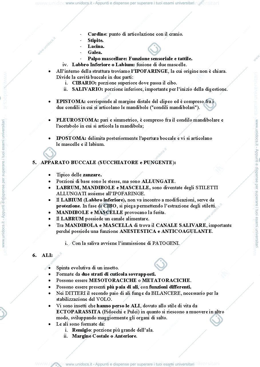 Anteprima pagina 3 — Entomologia Sanitaria