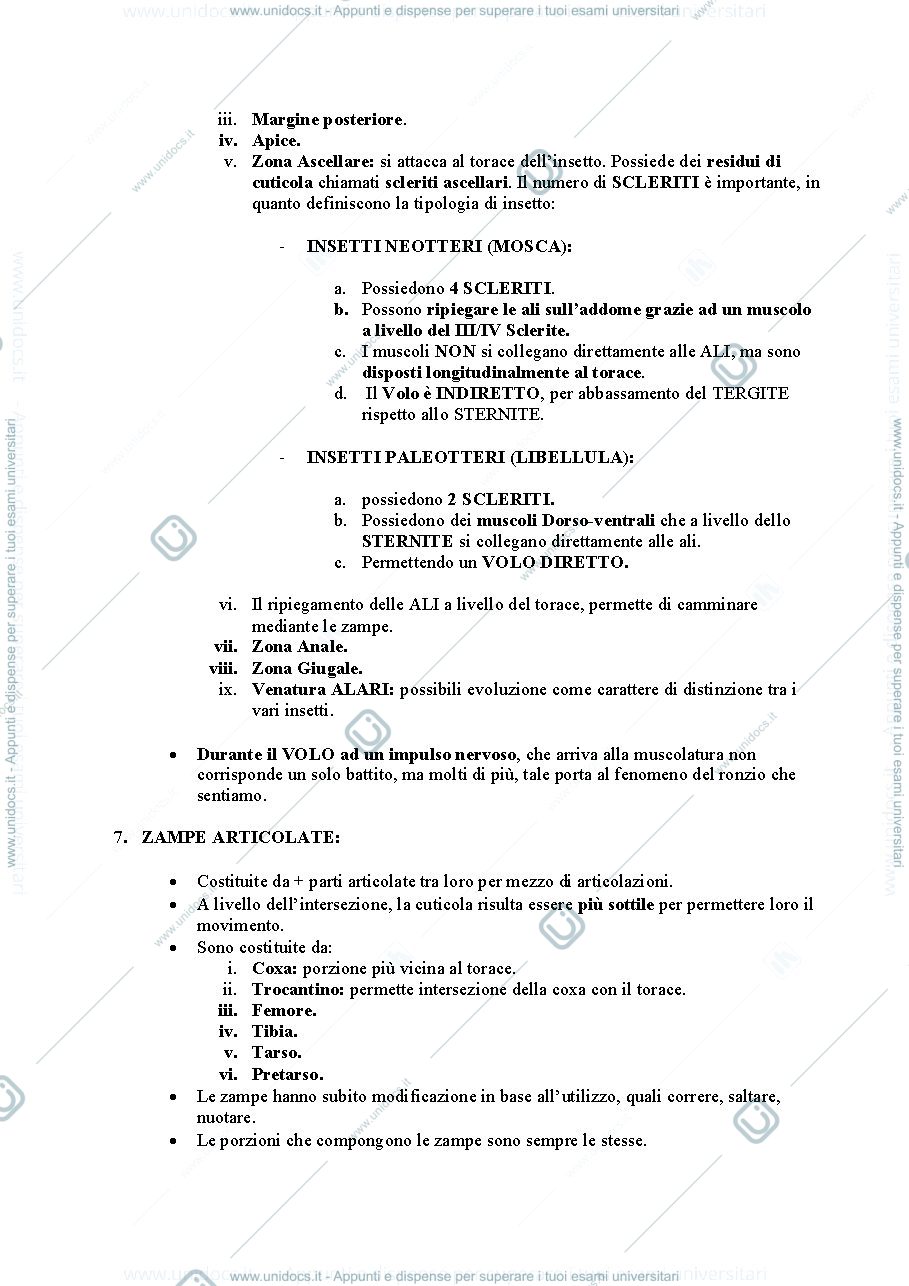 Anteprima pagina 4 — Entomologia Sanitaria