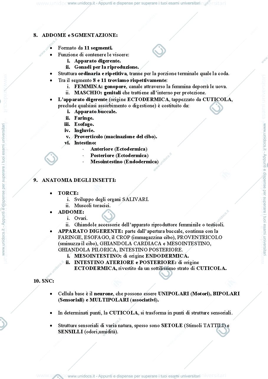 Anteprima pagina 5 — Entomologia Sanitaria