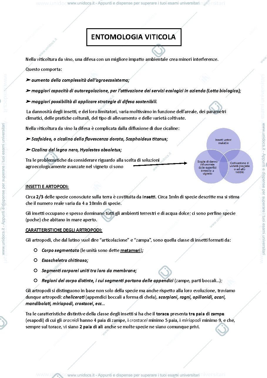 Anteprima pagina 1 — ENTOMOLOGIA VITICOLA