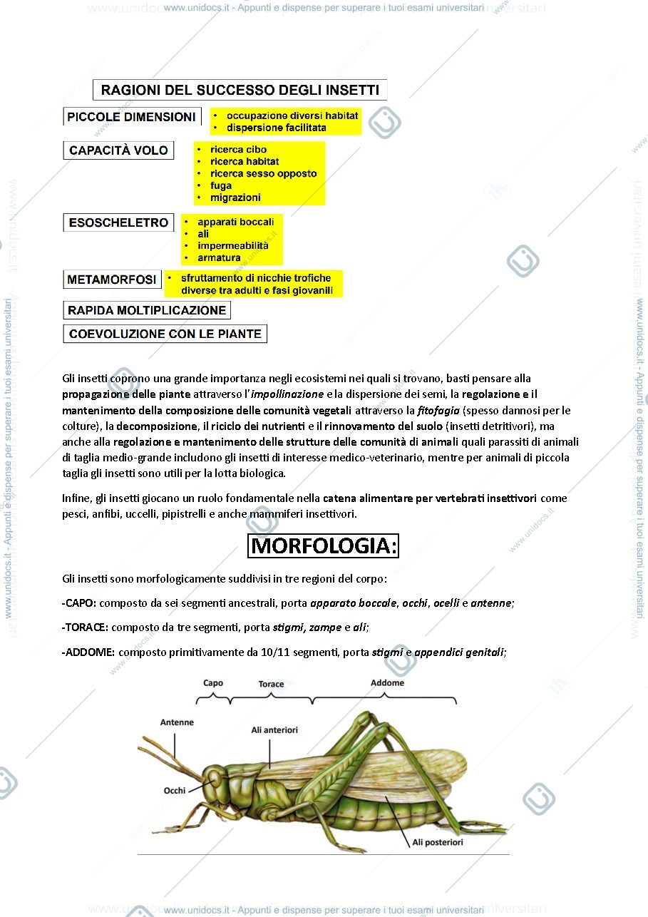 Anteprima pagina 2 — ENTOMOLOGIA VITICOLA