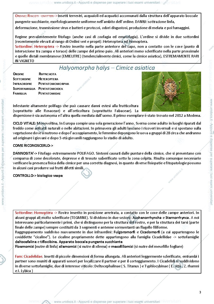 Anteprima pagina 3 — Entomologia Speciale