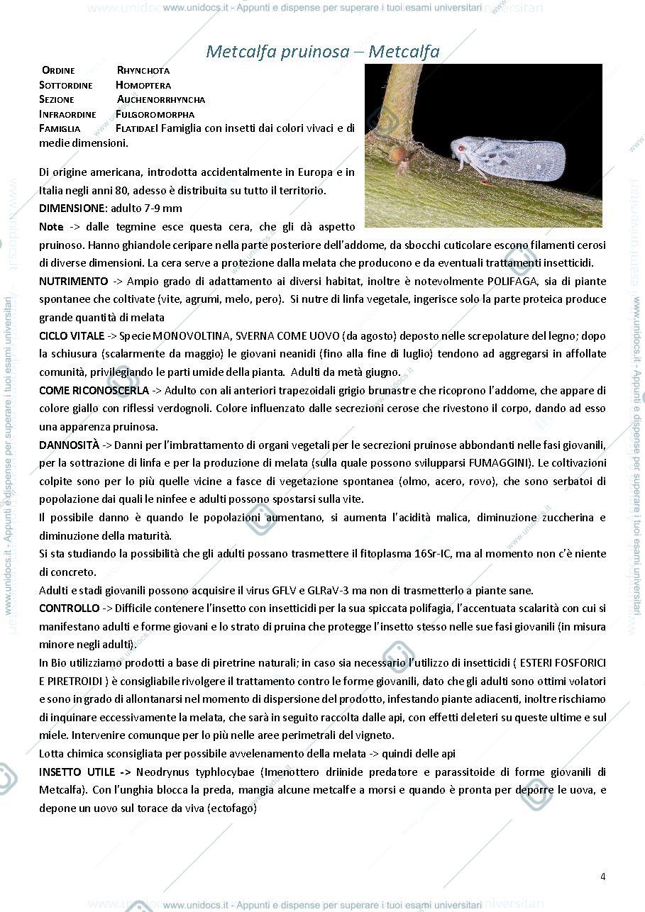Anteprima pagina 4 — Entomologia Speciale