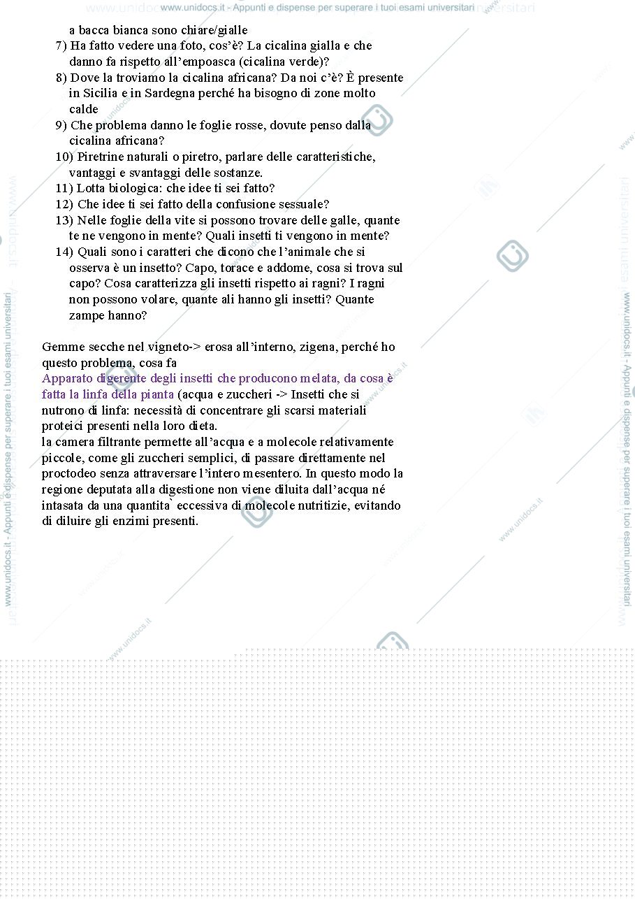 Anteprima pagina 3 — Esame entomologia agraria