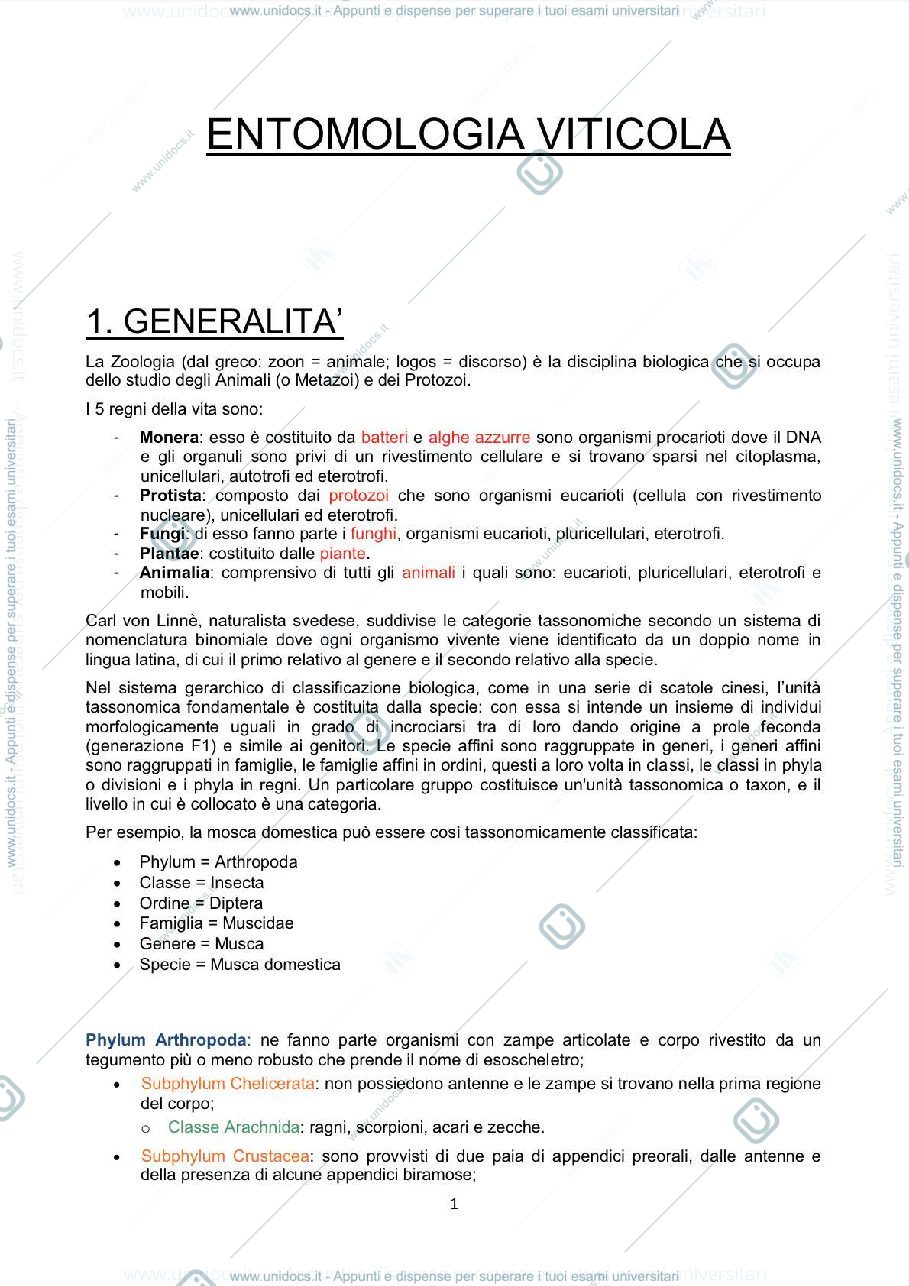 Anteprima pagina 1 — Appunti Entomologia