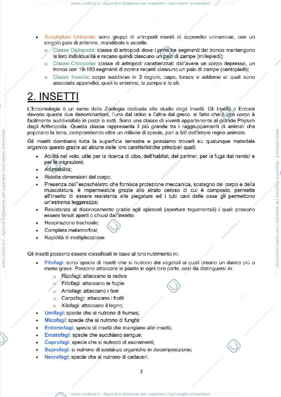 Anteprima pagina 2 — Appunti Entomologia