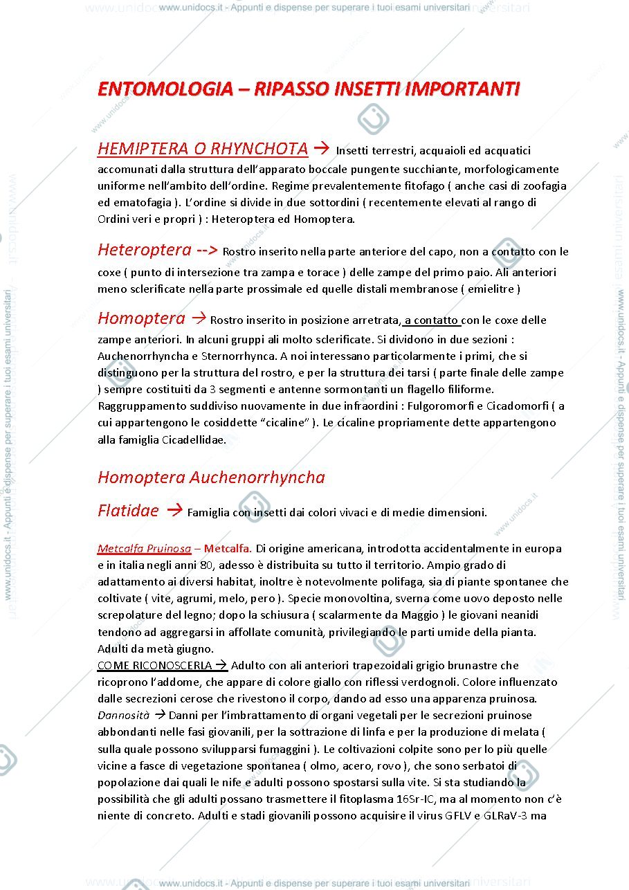 Anteprima pagina 1 — appunti entomologia