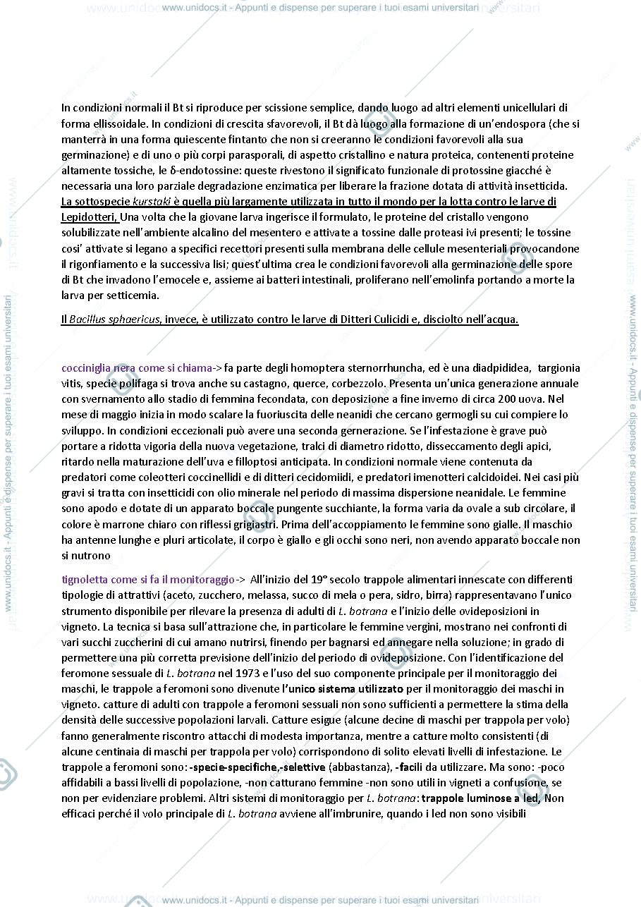 Anteprima pagina 3 — Domande e Risposte esame Entomologia Agraria