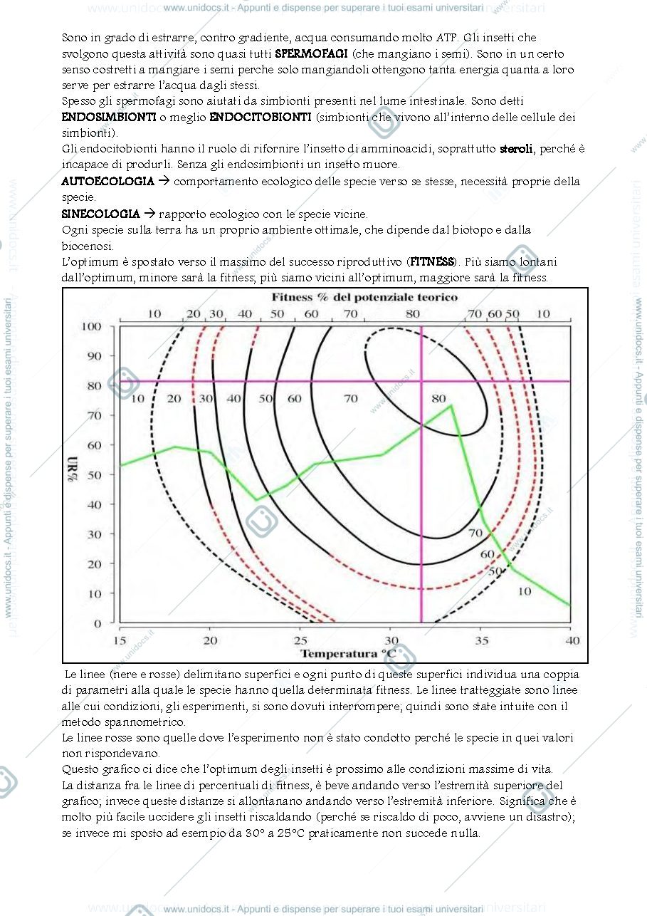 Anteprima pagina 3 — Esonero 1 Entomologia
