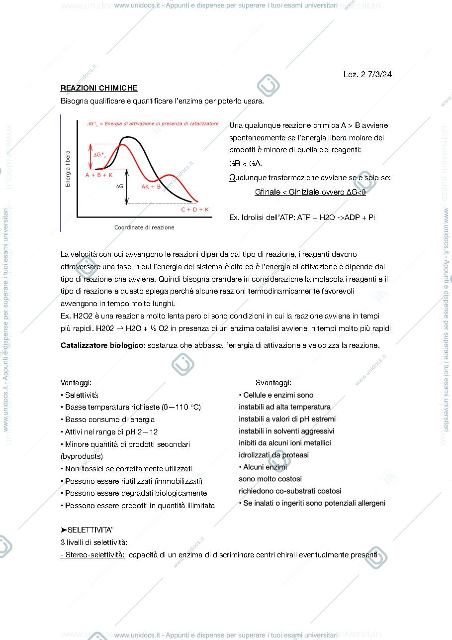 Anteprima pagina 3 — Appunti 1a parte 