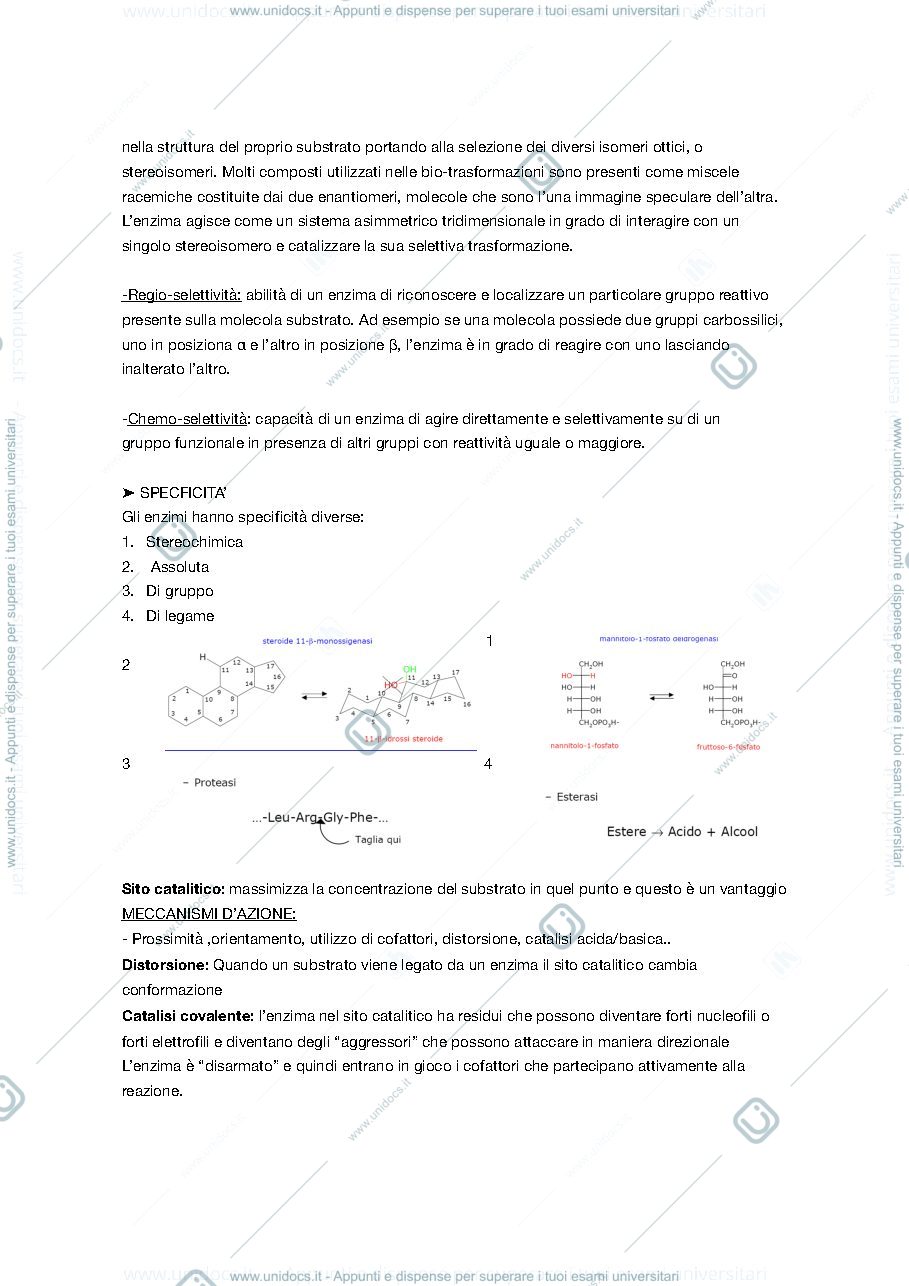 Anteprima pagina 4 — Appunti 1a parte 