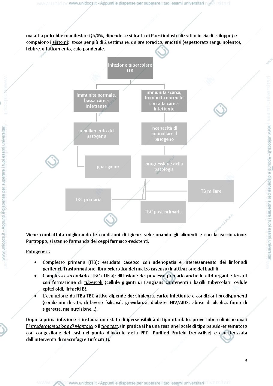 Anteprima pagina 4 — Igiene (parte speciale)