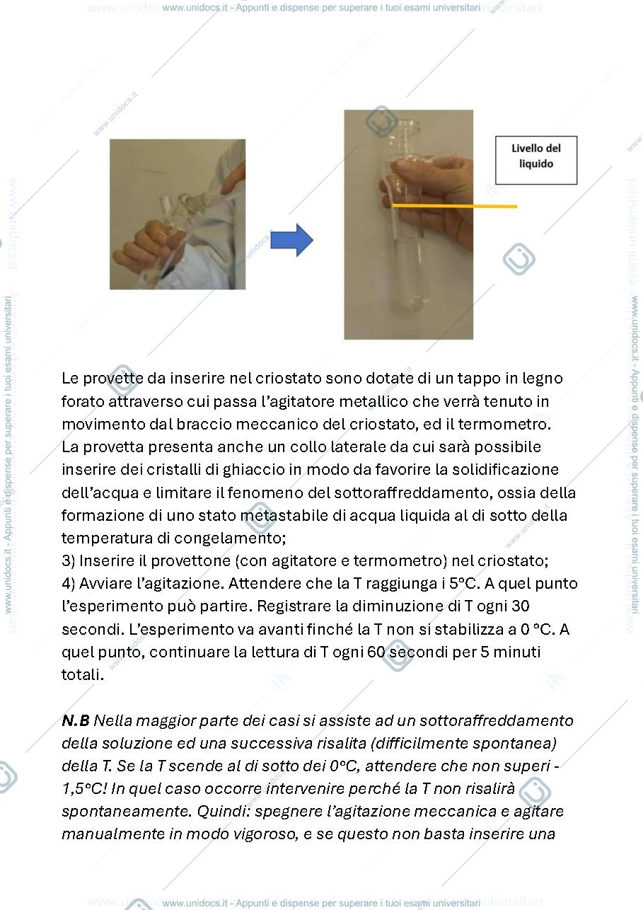 Anteprima pagina 2 — Esercitazione di laboratorio sulla crioscopia