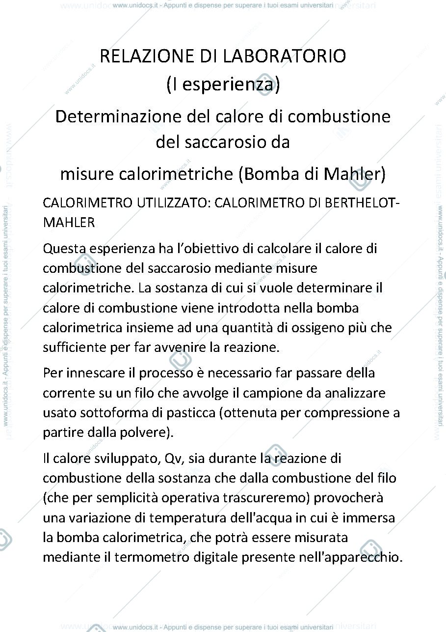 Anteprima pagina 1 — Esercitazione di laboratorio della bomba di Malher
