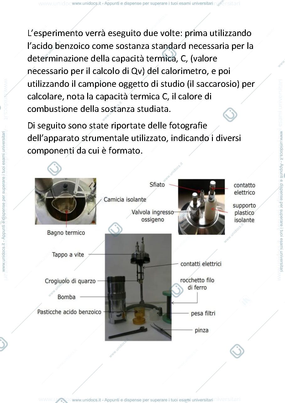 Anteprima pagina 2 — Esercitazione di laboratorio della bomba di Malher