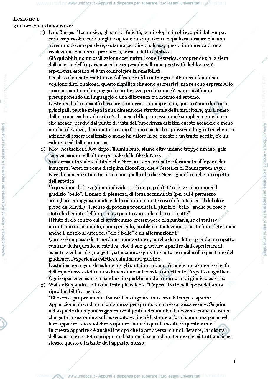 Anteprima pagina 1 — Riassunti estetica