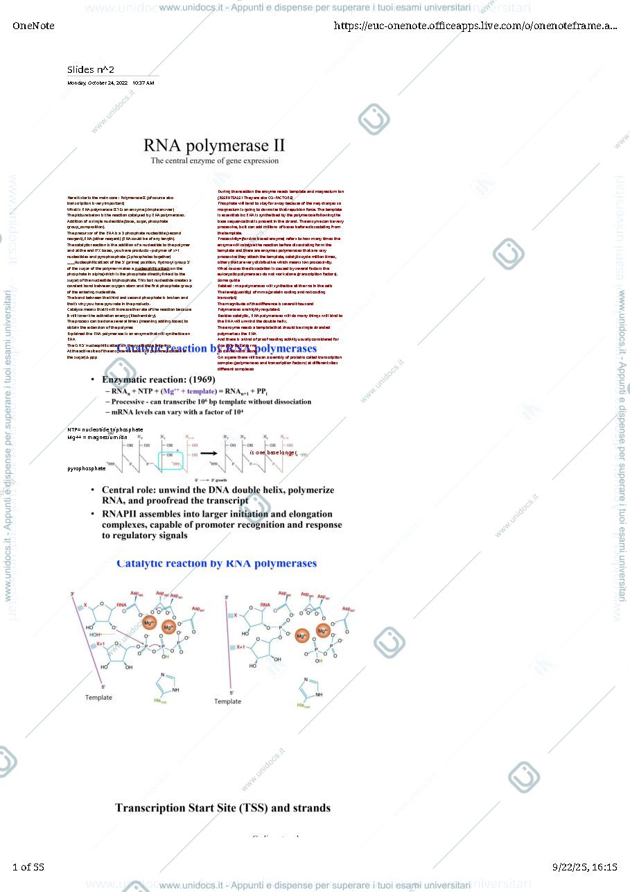 Anteprima pagina 1 — lezione 2