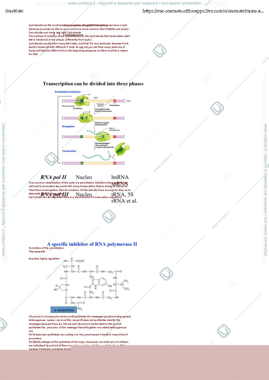 Anteprima pagina 4 — lezione 2