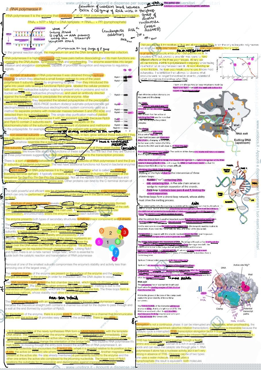 Anteprima pagina 1 — eukaryotic genomes 1