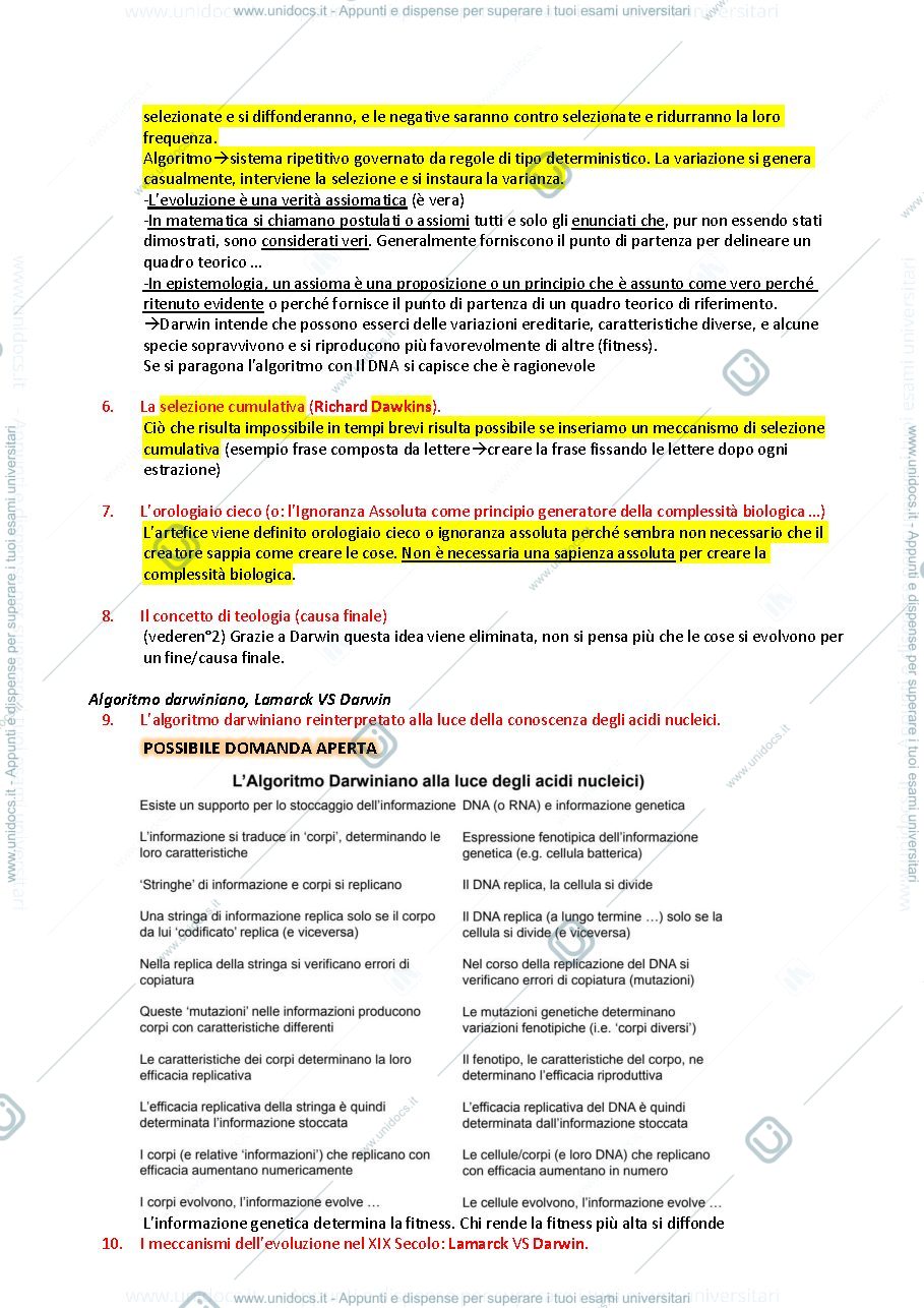 Anteprima pagina 2 — Esame evoluzione biologica