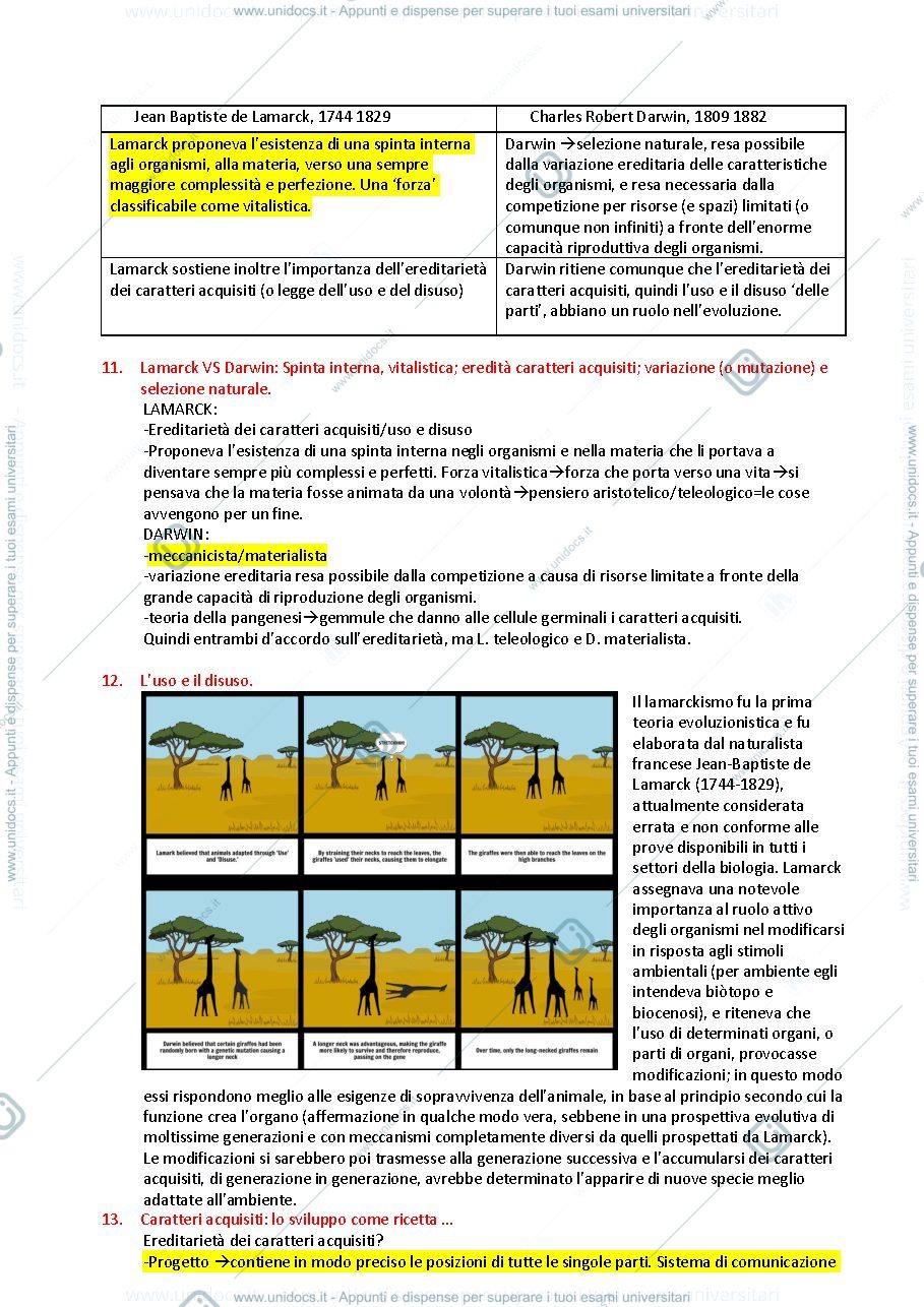 Anteprima pagina 3 — Esame evoluzione biologica